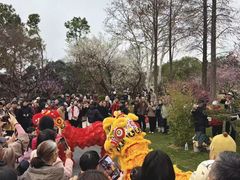 -无锡梅园公园