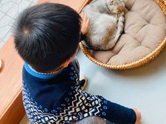-猫友咖啡店(玉林西路店)