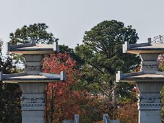 -东湖落雁景区