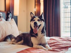 -京津新城温德姆至尊酒店(珠江大道店)