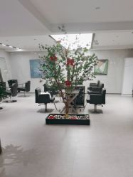 -付军剪艺JF ProSalon
