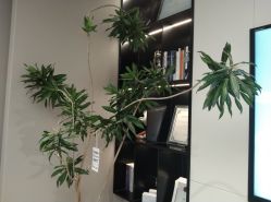 -颜蕾医美·黄金微针·水光·玻尿酸·超声炮