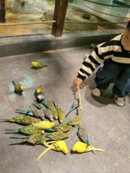 -酷嗒动物文化乐园(cutezoo西溪乐天城店)