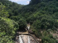 -广州白江湖森林公园