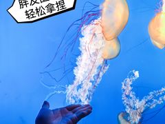 -太平洋海底世界