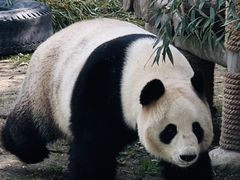 -上海野生动物园