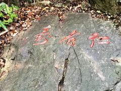 -镇江市南山风景名胜区竹林景区