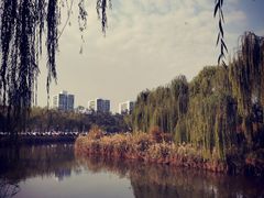 -南翠屏公园