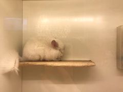 -龙猫仔乐园(惠福东路店)