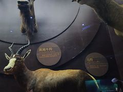 -天津自然博物馆