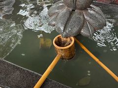 -庐山风景名胜区-东林大佛