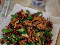 -蘑统田下·野生菌火锅