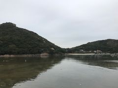 -南丫岛