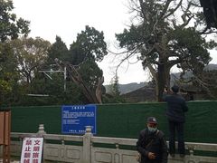 -司徒庙