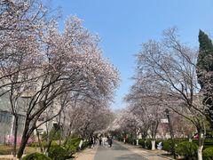 -山东师范大学(千佛山校区)