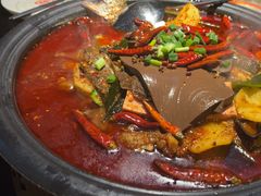 -探鱼·鲜青椒爽麻烤鱼(领展购物广场店)