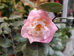 -猫的天空之城概念书店(杭州南宋御街店)