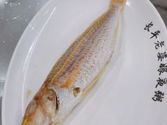 -长平老姿娘夜粥(平东一街店)