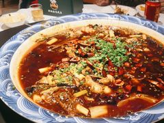 -新概念来凤鱼(璧山店)