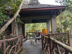 -海南热带雨林国家公园吊罗山景区