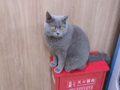 -藦茜花园宠物主题亲子互动体验馆(国顺东路店)