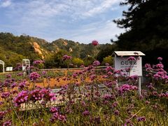 -云峰山自然风景区
