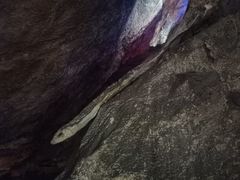 -灵栖洞天