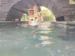 -咸宁万豪温泉谷度假区