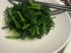 高山豆苗-南麓·浙里(外滩店)
