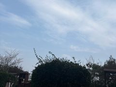 -徂徕山森林康养度假谷温泉