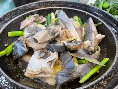 -锐记美食店·现捞海鲜(闸坡店)