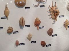 -海合安青岛极地海洋公园