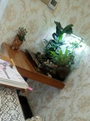 点击看大图 -圣婕美甲美睫皮肤管理