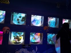 -七巧国萌宠乐园(龙湖天街店)