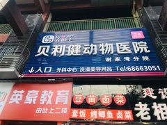 -宠颐生贝利健动物医院(谢家湾分院)