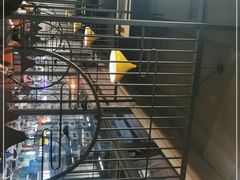 -鑫悦楼煎蟹·16年海鲜大排档