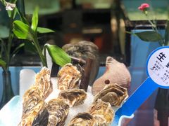 生蚝-尚海豆捞(乐虹坊店)