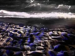 -老虎石海上公园