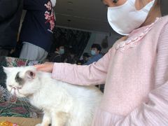 -平行世界·猫咖(首经贸店)