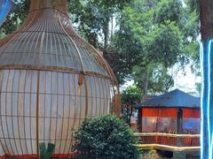 -二荆条·蜀鲜汇城市森林火锅