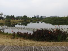 -眉山湿地公园(东坡区)