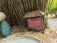 -森波拉火山温泉