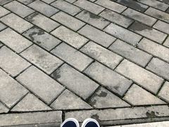 -唐城墙遗址公园