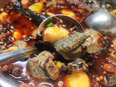 芋头鸡-黑竹香鸡(营和巷店)