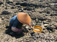-三娘湾旅游风景区