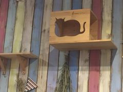 -小时光咖啡馆(开森度假森林店)