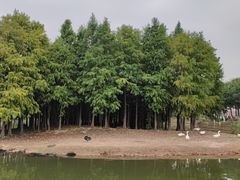 -厦门园林博览苑