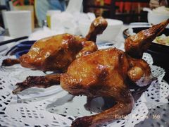 -石岐乳鸽村(南海第三分店)