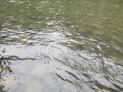 -九曲溪漂流