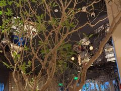 -桂满陇·海市蜃楼·黑金(国金店)